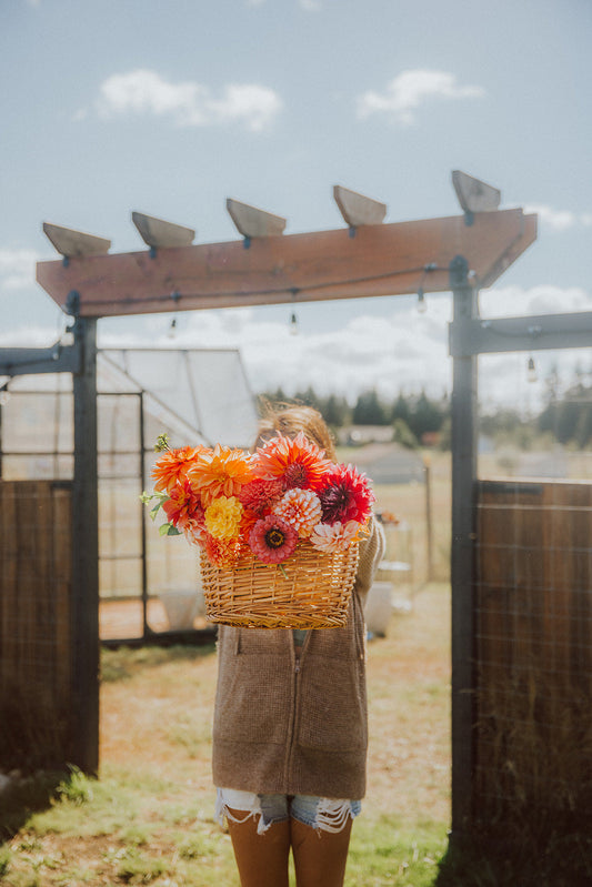 Welcome to the Farm 🌱