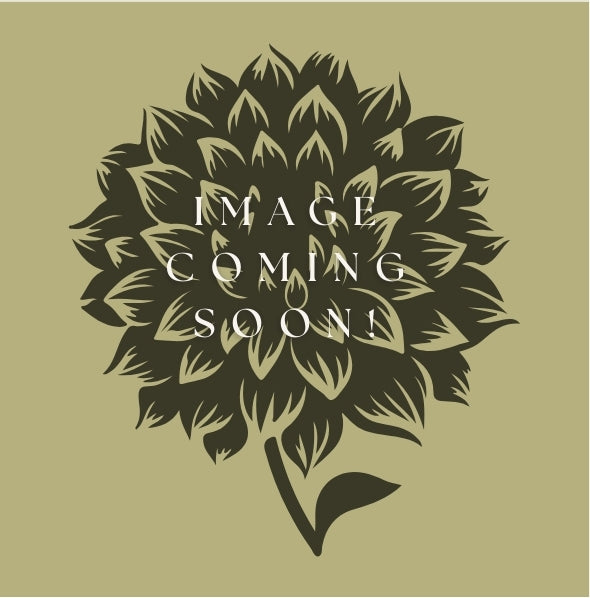 Full Dahlia Season Membership