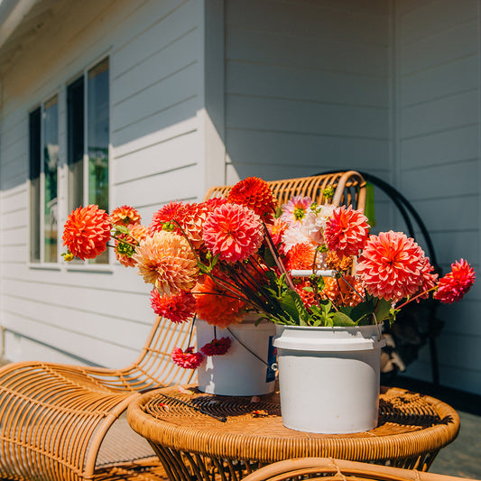 DIY Buckets of Stems